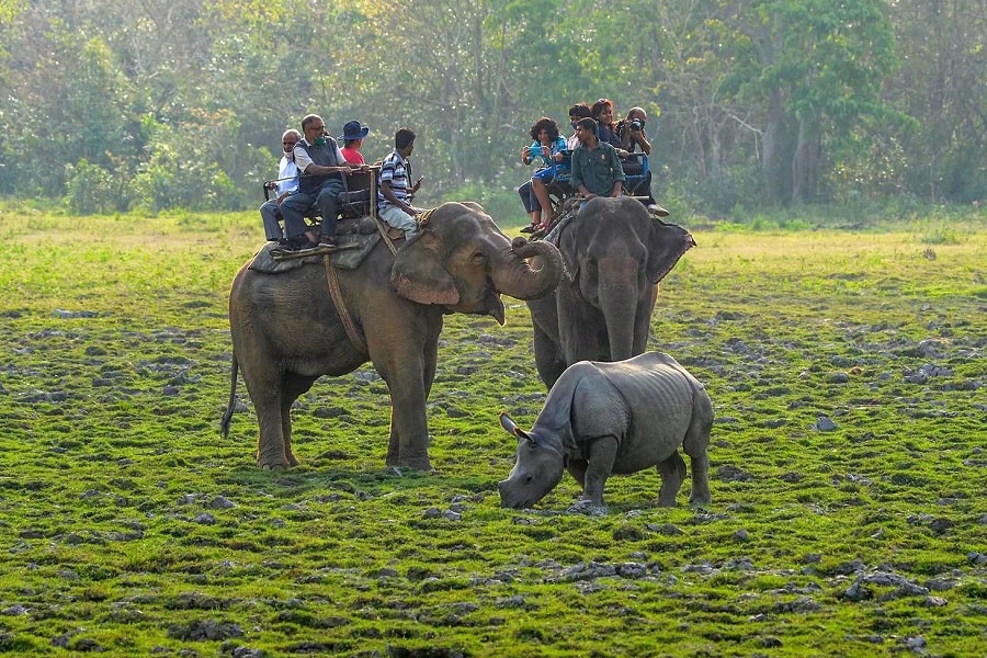 Assam tour package