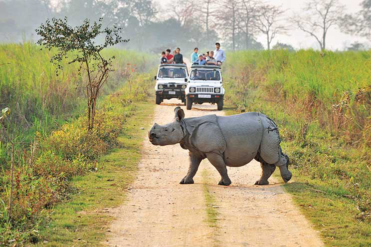 Kaziranga tour package